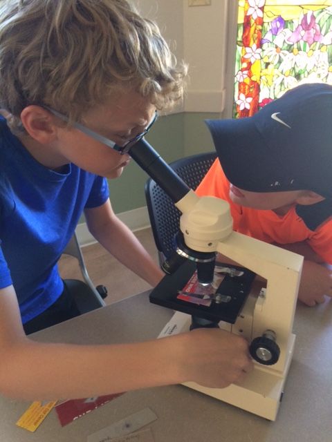 Kid looking in microscope