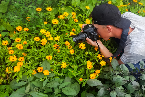 person taking photos of flowers