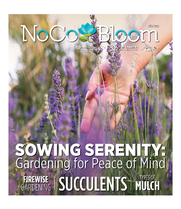 NoCo Bloom July 2025 Cover