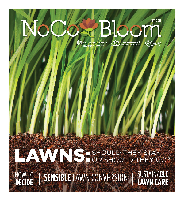 NoCo Bloom May 2023 Cover