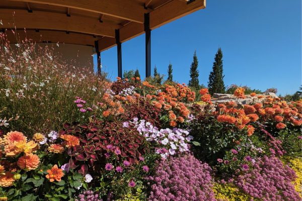 Everitt Pavilion Stage Annual Display 2024