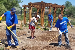 group volunteering