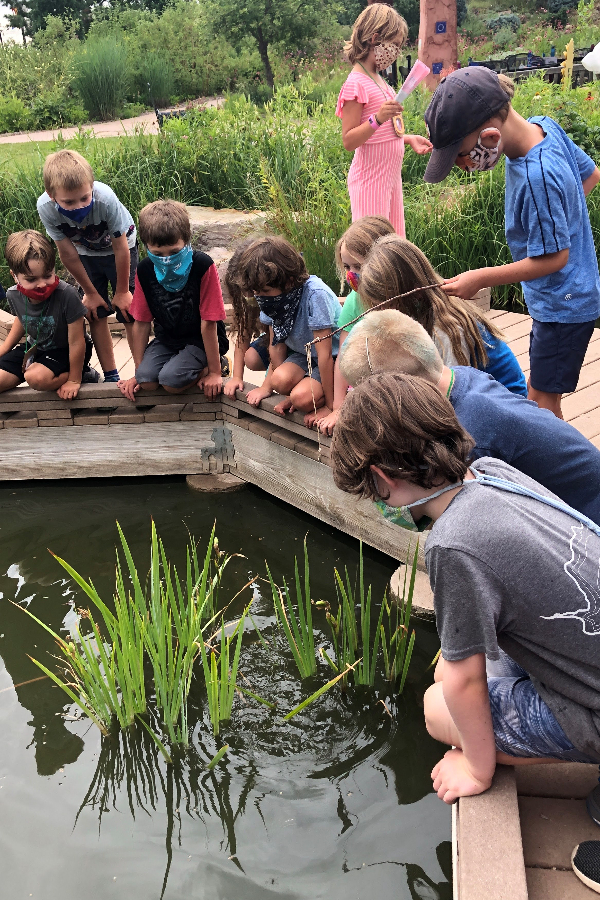 kids around pond