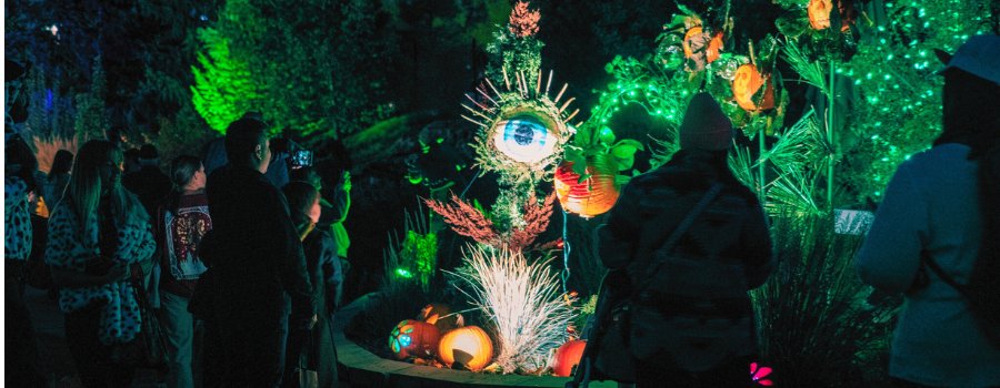 Pumpkins on Parade Eyeball Display