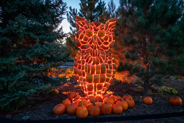 Owl Pumpkin Sculpture