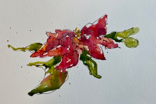 watercolor holiday