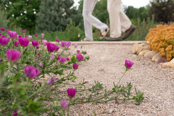 people walking in the garden