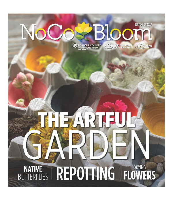 NoCo Bloom July 2025 Cover