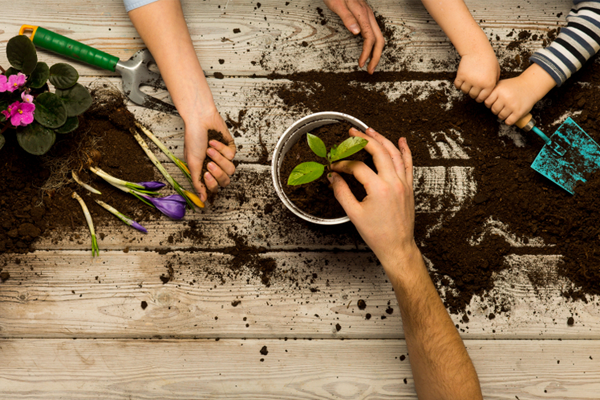 families planting together