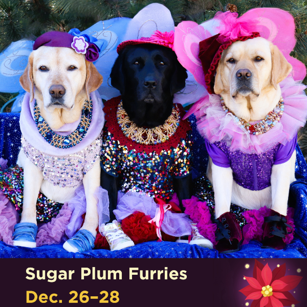 Sugar Plum Furries