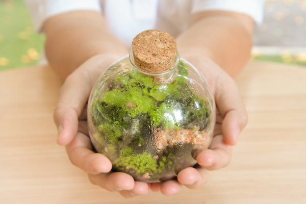 small terrarium