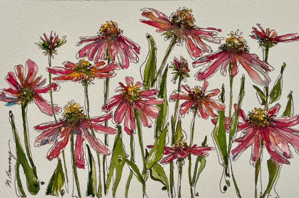 watercolor cone flowers