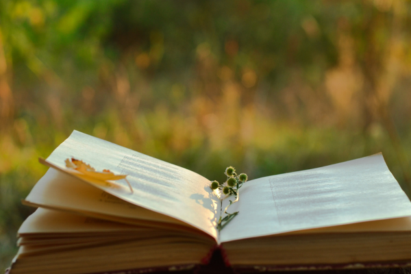 book in garden with flower