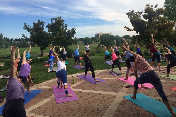 Yoga and Tai Chi in The Gardens