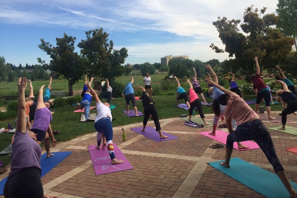 people doing yoga