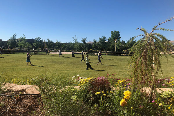 Yoga and Tai Chi in The Gardens