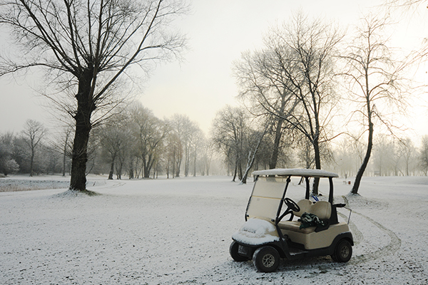 golf cart on snowy field
