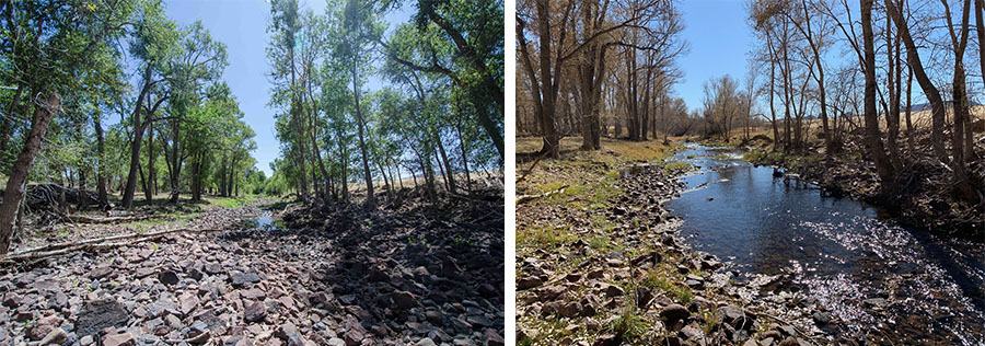 Current vs. Proposed Conditions on the North Fork of the Poudre River