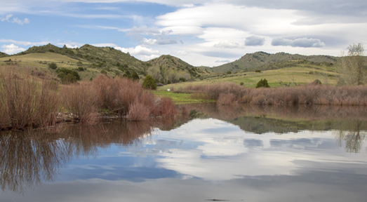 Halligan Reservoir