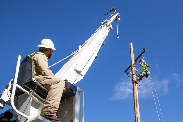 light and power employees working a line