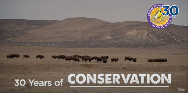 Buffalo on the prairie with overlaying words