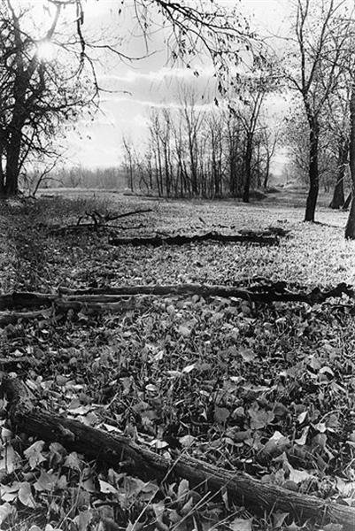 Arapaho Woods