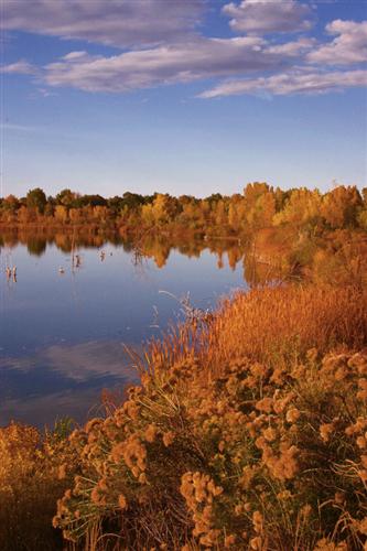Autumn Morning