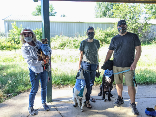 Bark Rangers in Training