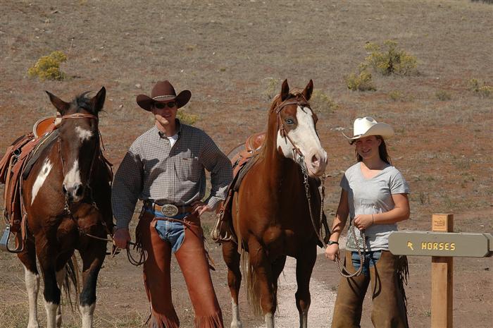 Horses