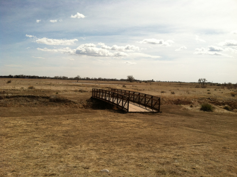 Bridge