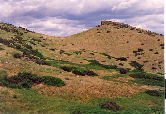 Field