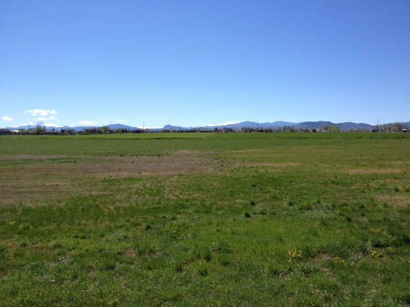 Field