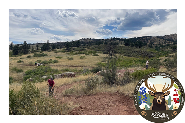 Two natural area staff working on building a winding trail with a mini excavator in the background.