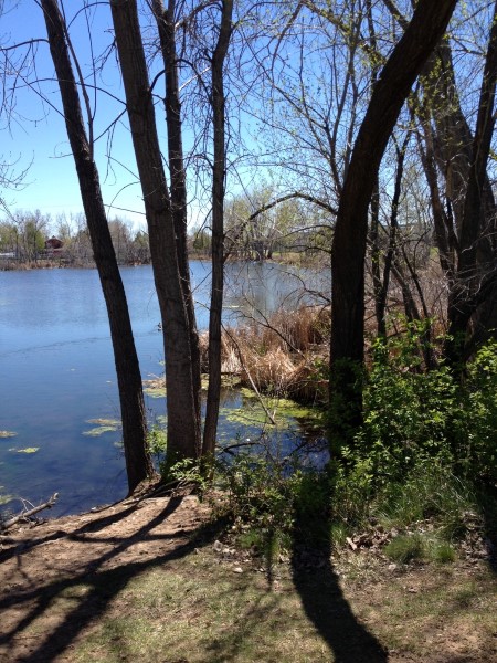 Goose Hollow Pond
