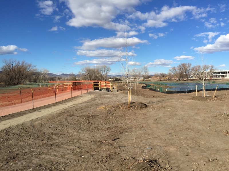 Homestead Construction