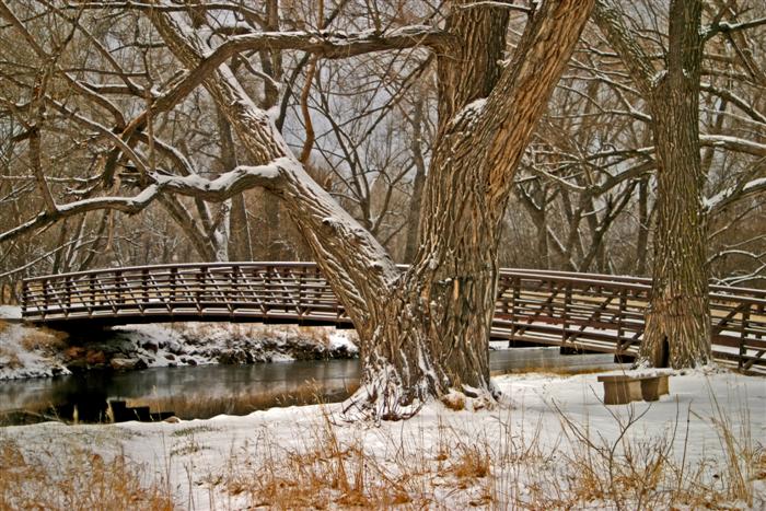 Legacy Park Bridge