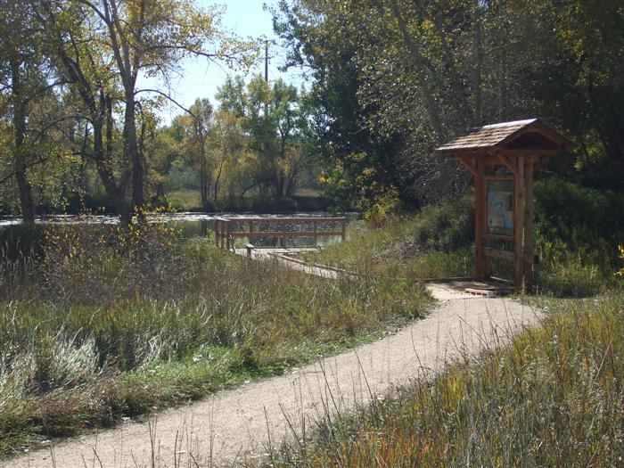 Magpie Meander