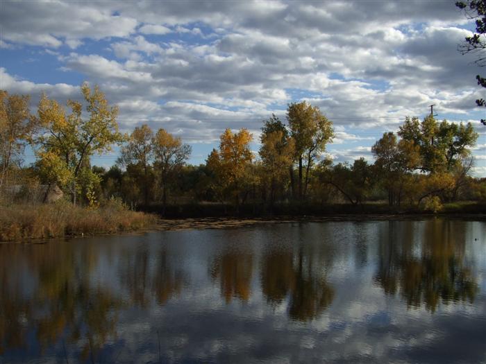 Magpie Meander Pond