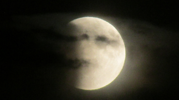 Go to: https://www.facebook.com/FCNaturalAreas/videos/323464889059529/