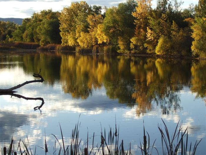 North Shields Pond by K Manderbach
