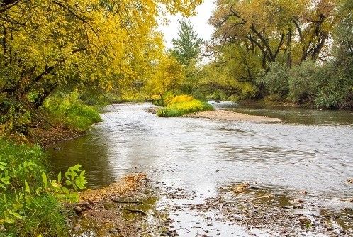 Poudre River at low flow.
