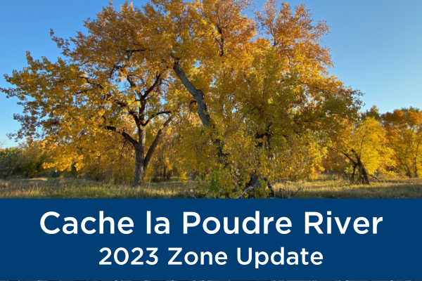Cottonwood trees with orange leaves text with blue background reads Cache la Poudre River 2023 Zone Update