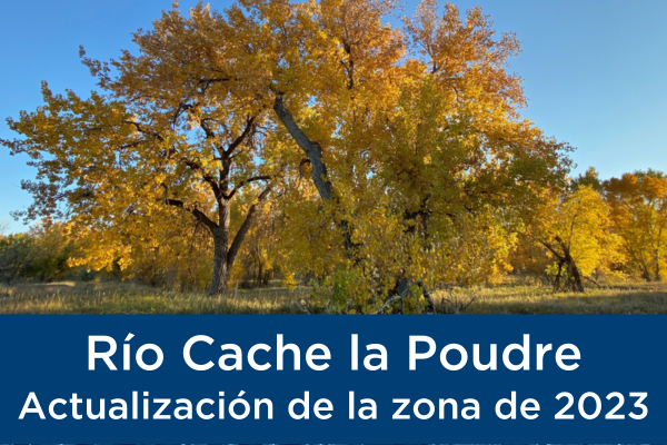Cottonwood trees with orange leaves text with blue background reads Río Cache la Poudre Actualización de la zona de 2023
