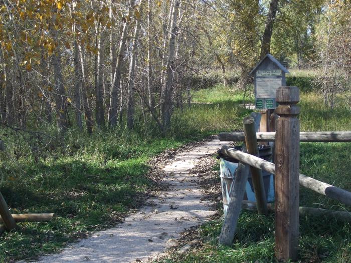 Red Wing Marsh