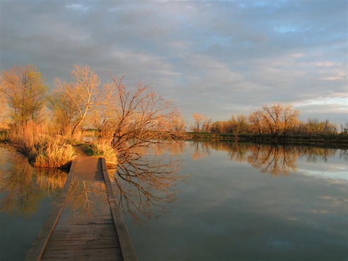 Scenic Path