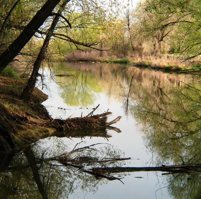 Reflection