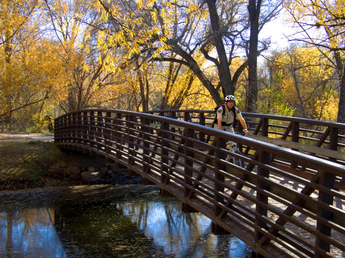 Bridge