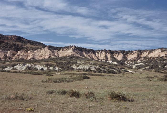 Soapstone Natural Area 14