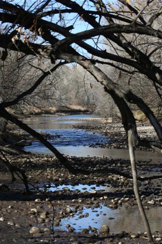 Springer Creek