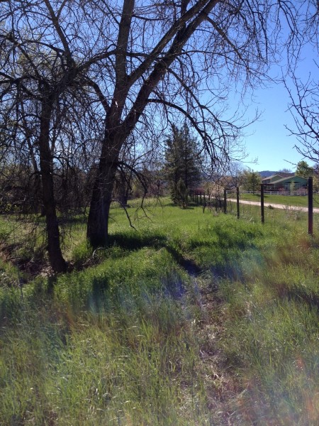 Fence